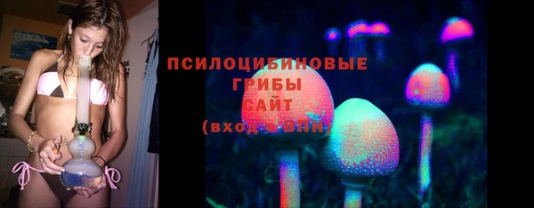 дживик Зерноград