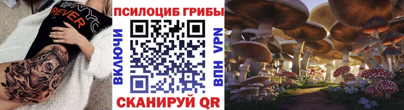 Галлюциногенные грибы Psilocybine cubensis  Купить  Отрадная 